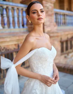 Dani